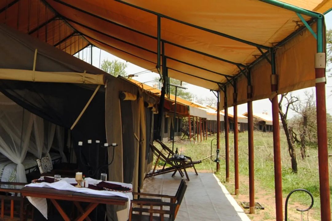 Ndutu Bush Camp (2)