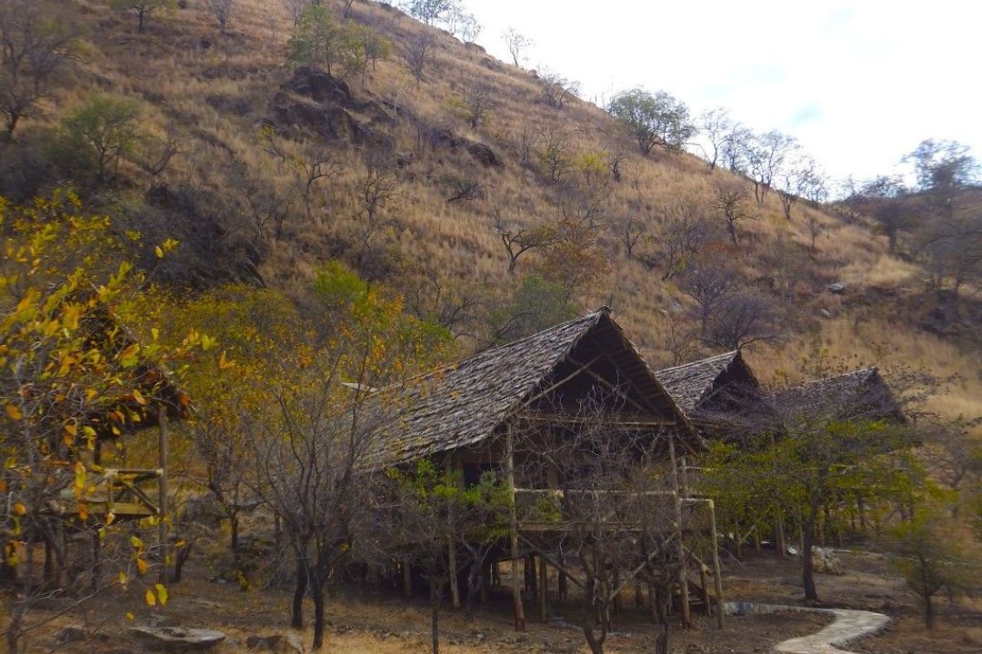 Sangaiwe Tented Lodge (1)