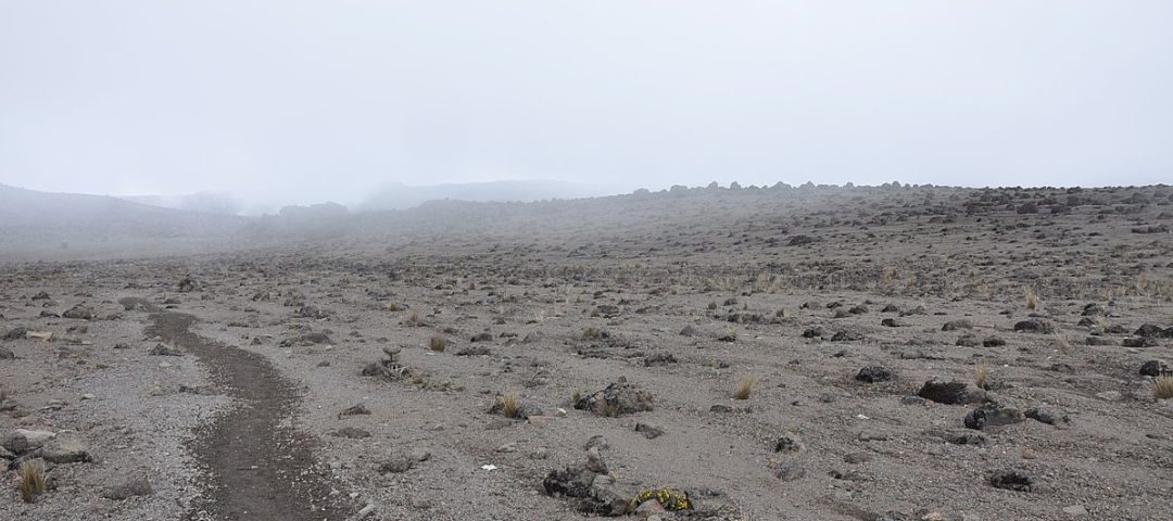 Alphine Desert Alphine Desert