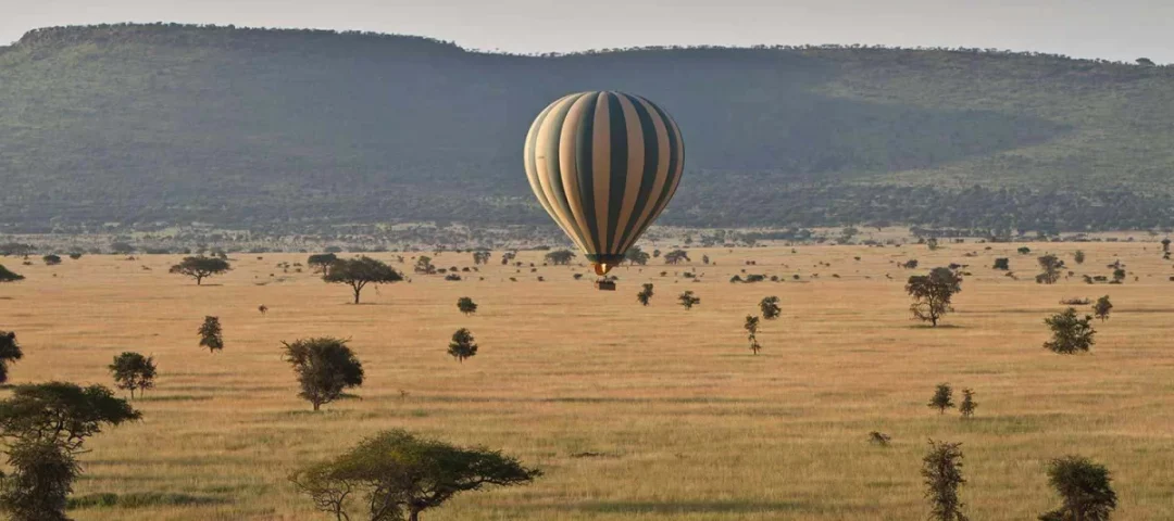 Balloon safari