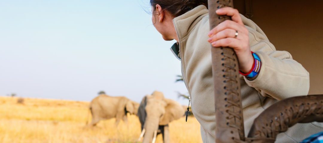 Private Game Drive