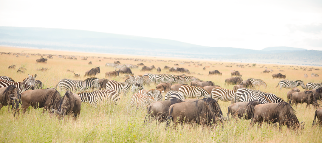 Serengeti National Park