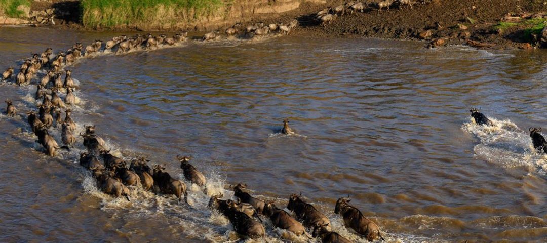 Tanzania unwapped (2)