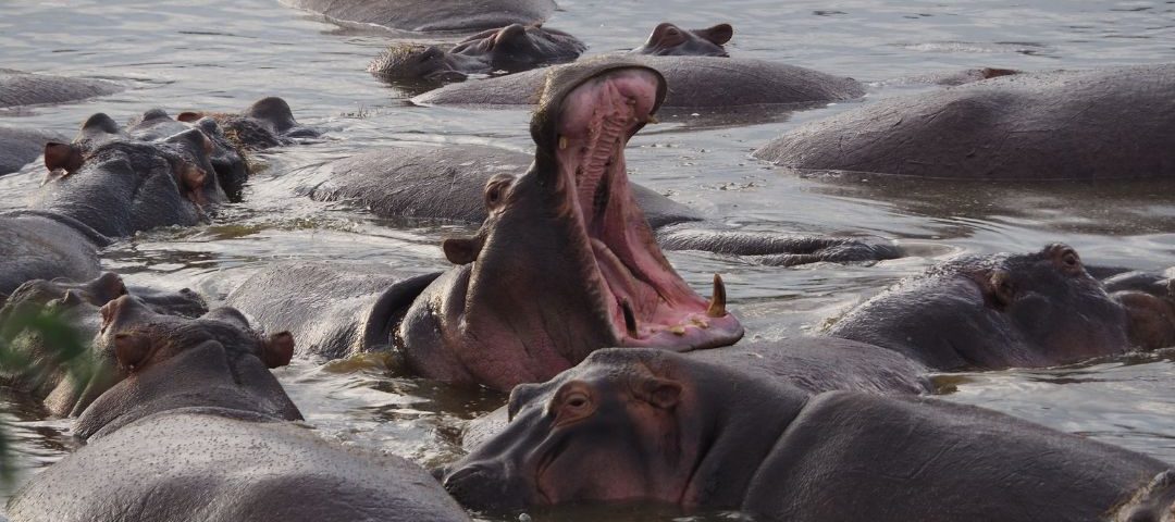 Tanzania unwapped (4)