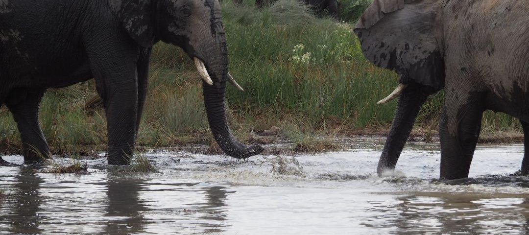 Tanzania unwapped (5)